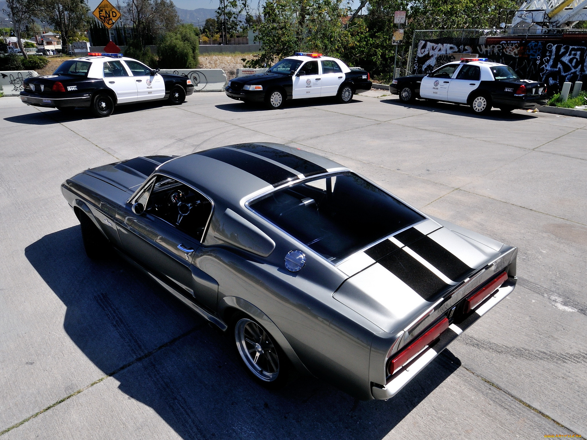 , mustang